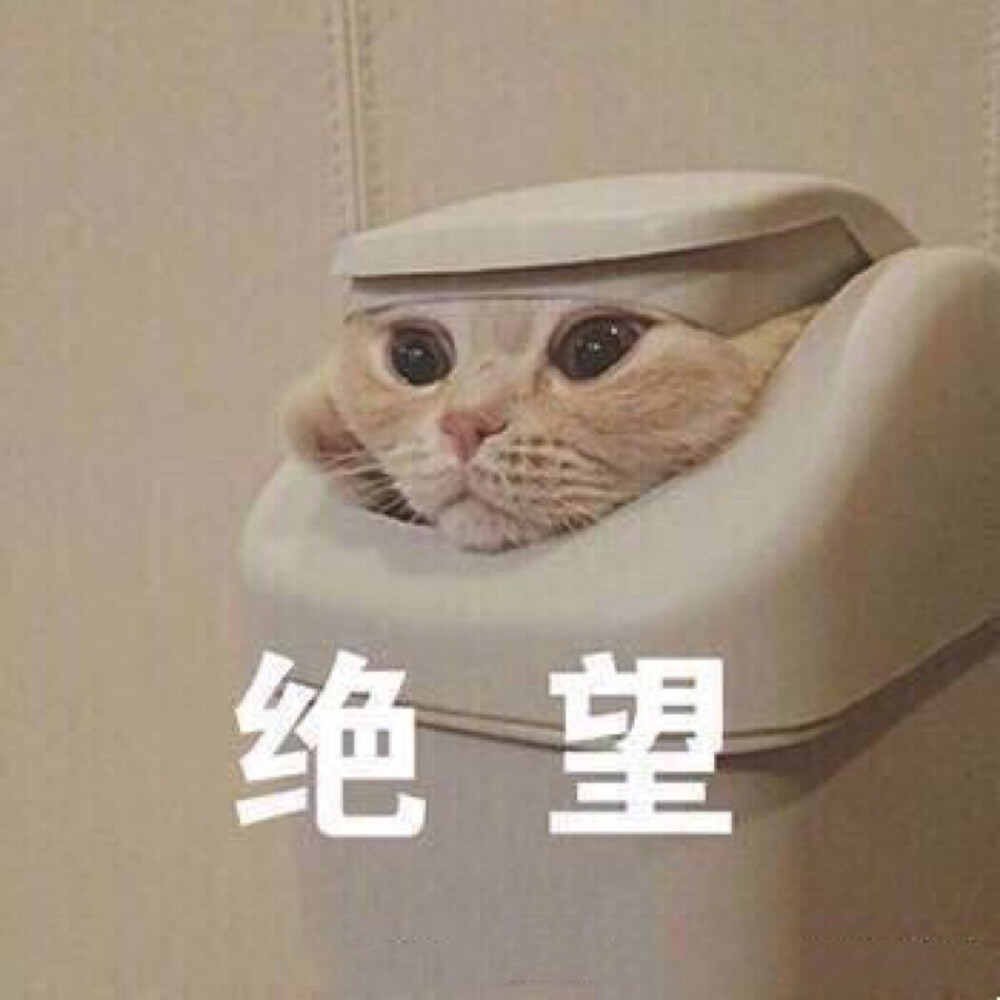 呐呐呐