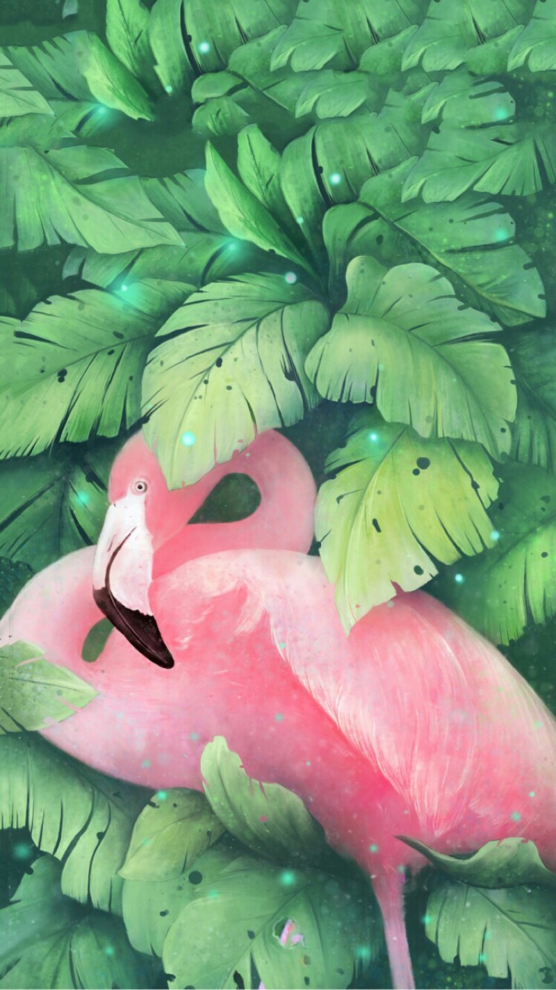 火一样的风姿
一一 花夏妖娆