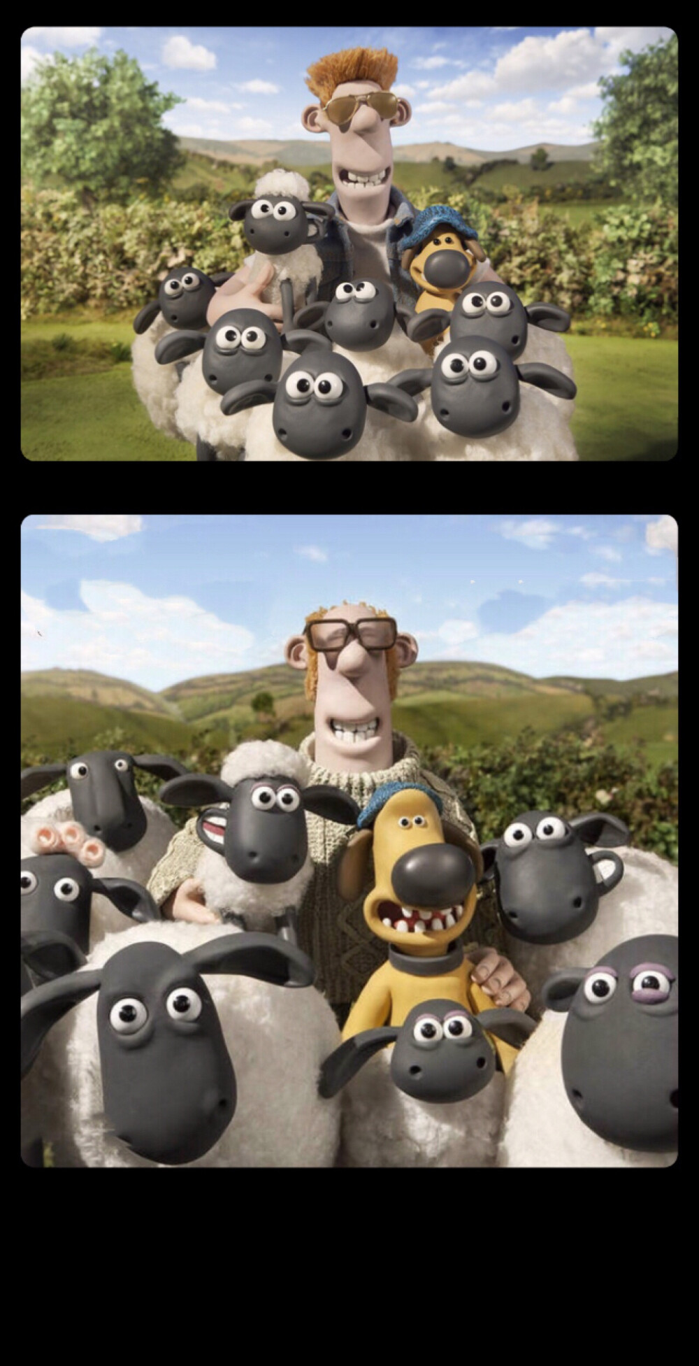 小羊肖恩大电影合影