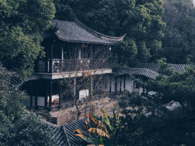 那日晴窗初過雨，當時小院靜無聲。 ​​​ ​​​​