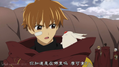 翼年代记