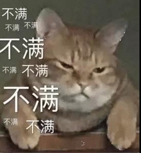 不满 猫猫表情包