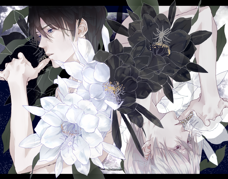 黒と白 绘师：nothing to do（p id=805083） 本作品id=17955320