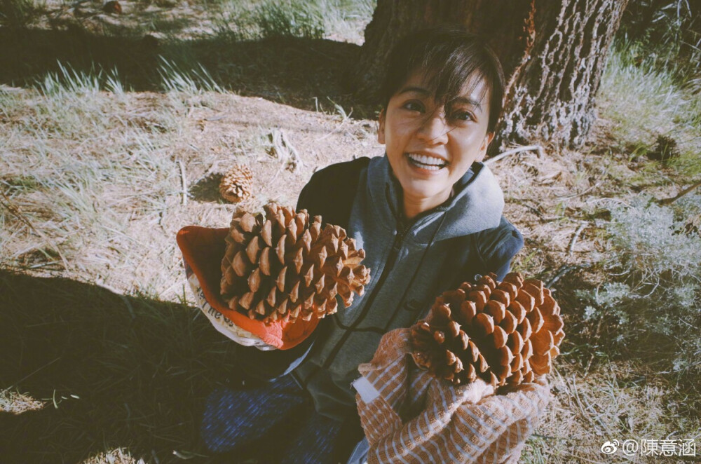 陈意涵