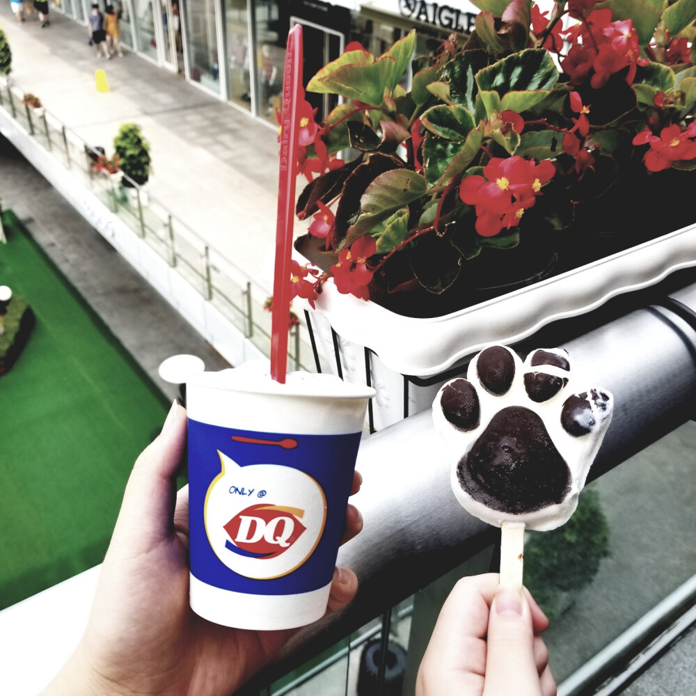 DQ