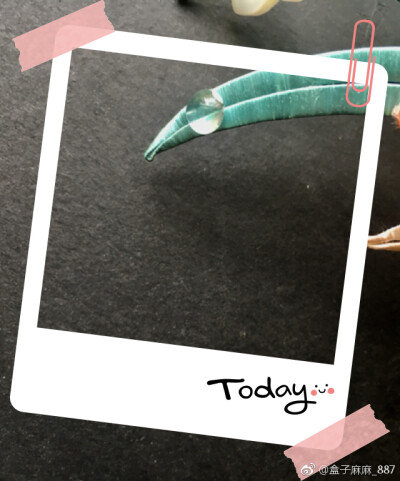 缠花，钗钿坊@盒子麻麻_887