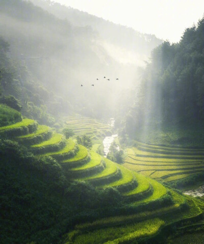 越南最美梯田Mu Cang Chai，神奇的大自然 |摄影师cumacevikphoto ​​​​