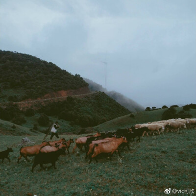 苍山洱海