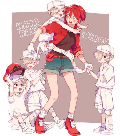 工作细胞_白细胞们 红细胞