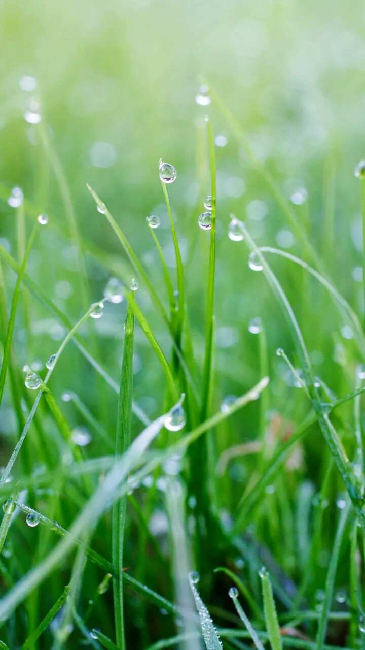 雨水