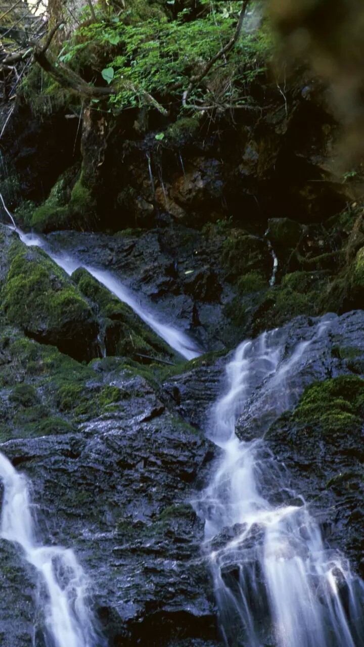 神龙架湖北