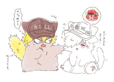 工作细胞_T细胞 白细胞 红细胞