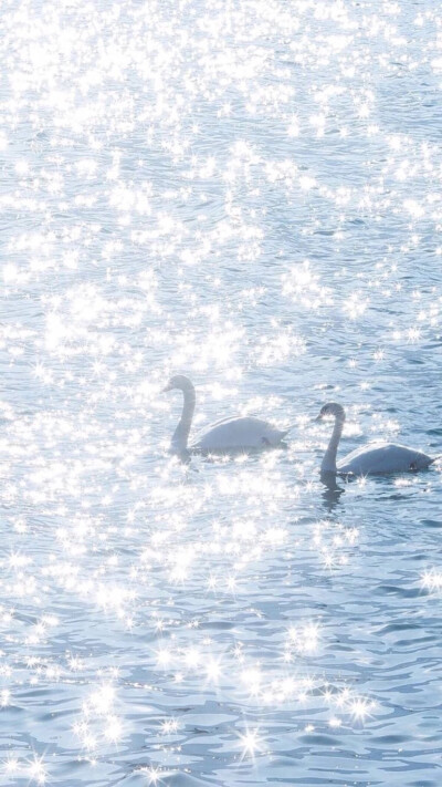 自己敲击喜欢的壁纸