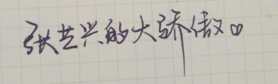 手写文字ch