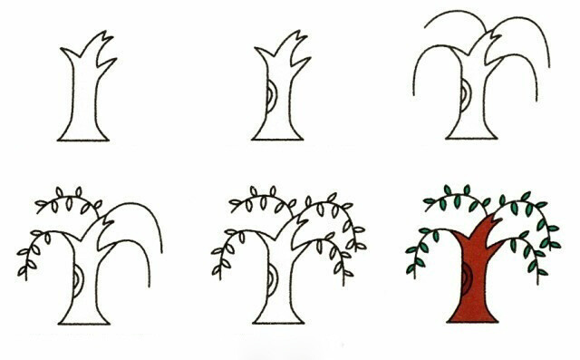 9种植物简笔画小教程一组，马住学 ​（转） ​​​​