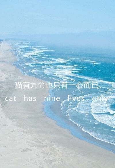 QQ:3127451141 /泺七/♥
〈这里是好看的壁纸biu〉
๓(๑•ｏ-๑)๓