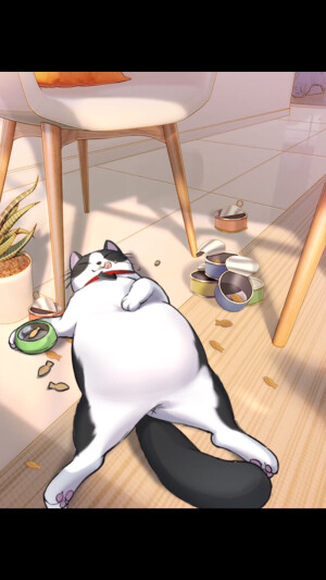 天猫
