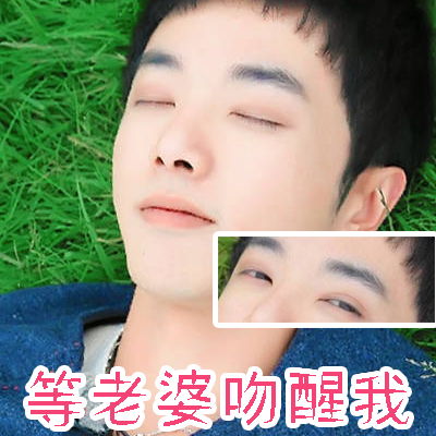 华晨宇表情包