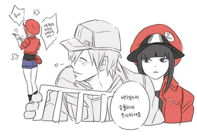 工作细胞-白细胞 红细胞