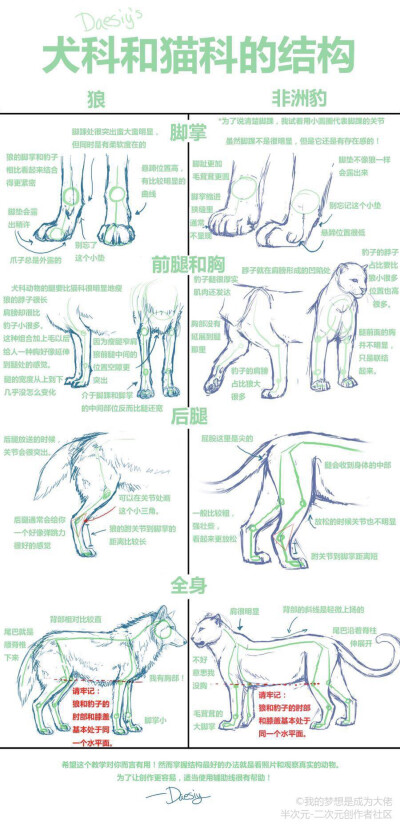 动物素材及教程