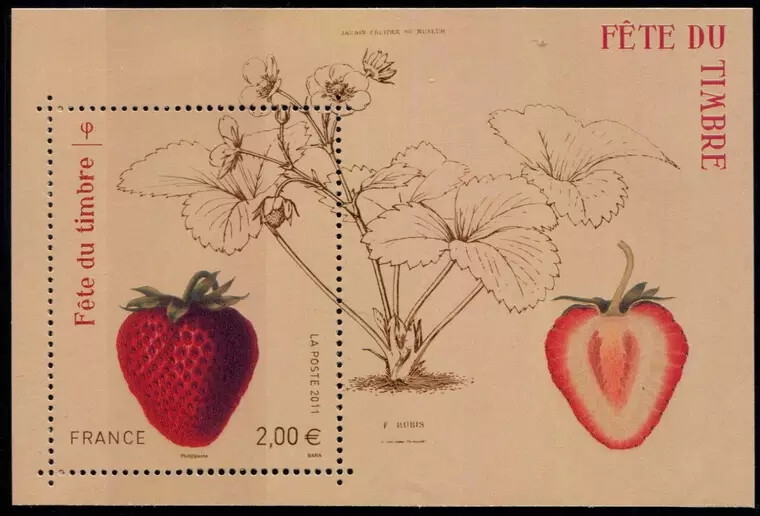 草莓邮票