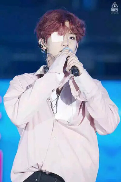 这么好看的吗？超级喜欢这个系列─=≡Σ((( つ•̀ω•́)つ边伯贤啵啵虎