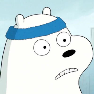 ice bear