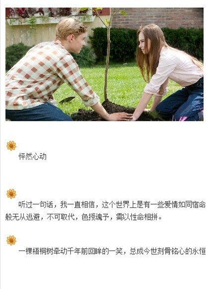 精致女生温情类电影推荐。 ​ ​​​​