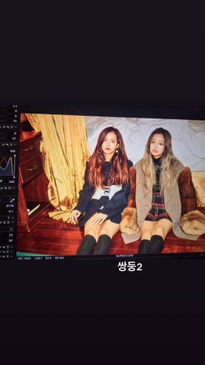 BLACKPINK 粉墨 JISOO 金智秀 JENNIE 金珍妮