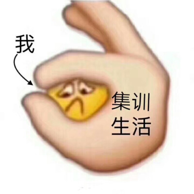 美术生 联考 集训