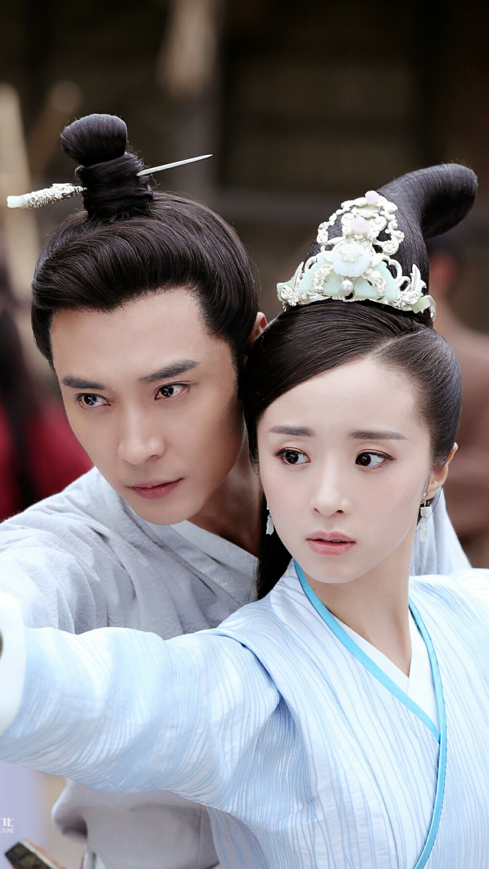 独孤天下 独孤伽罗 胡冰卿