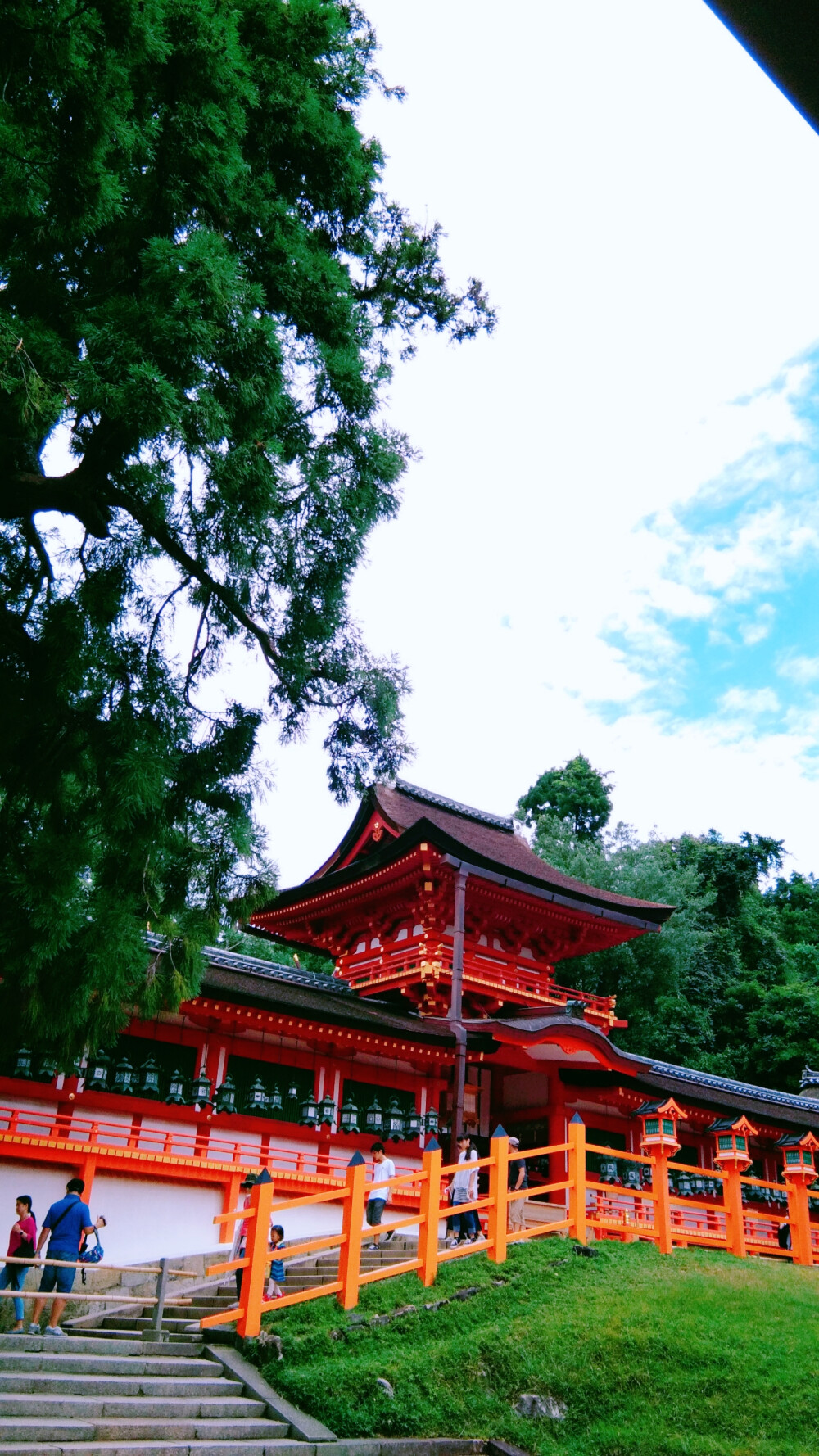 奈良 鹿 日本 东大寺