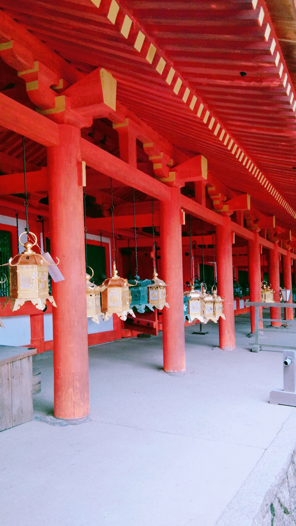 奈良 鹿 日本 东大寺