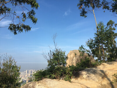 依旧是山上的风景