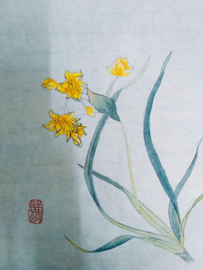 水仙 国画
花：鹅黄，藤黄
叶子：花青，鹅黄，翡翠，钛白，墨
底稿：墨
[这张还挺有难度的...临摹了好几个小时，颜色也是反复上了很多层...水仙花的颜色其实可以稍微再淡一点。]
模板：工笔花鸟从入门到精通之经典…