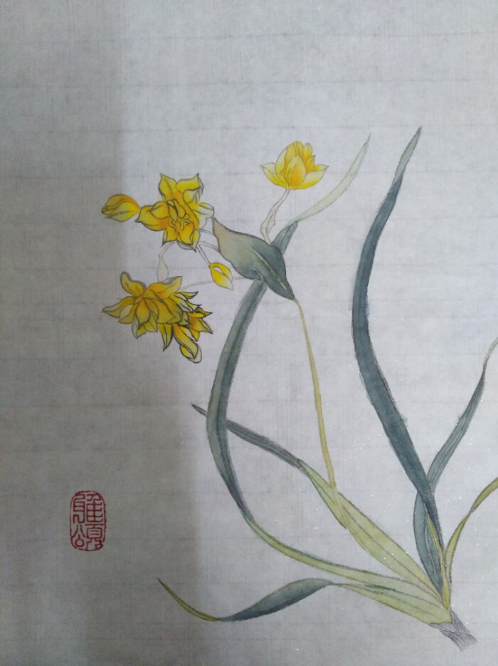 水仙国画花 鹅黄 藤黄叶子 花青 鹅黄 翡翠 钛白 墨底稿 墨 这张还挺有难度的 临摹了好几个小时 颜色也是反复上了很多层 水仙花的颜色其实可以稍微再淡一点 模板 工笔花鸟从入门到精通之经典花卉感谢 飞乐鸟工作室