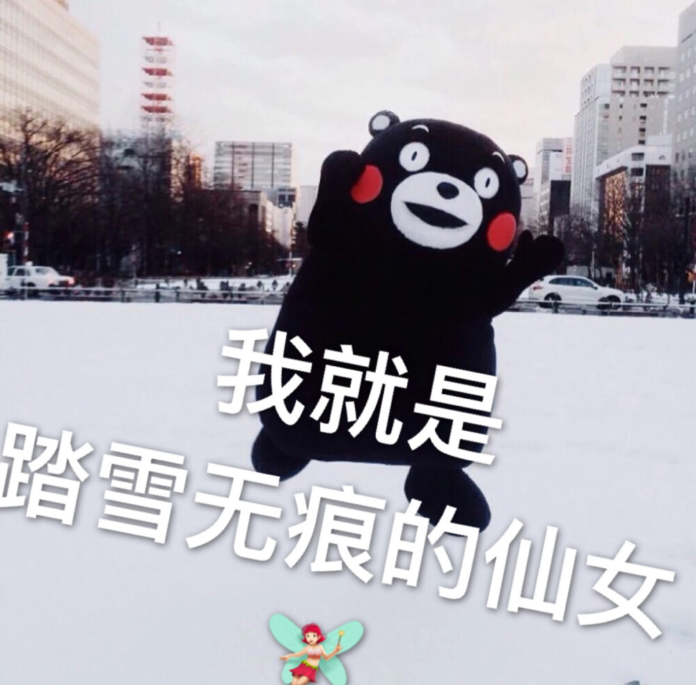 表情包.熊本熊..我就是踏雪无痕的仙女....