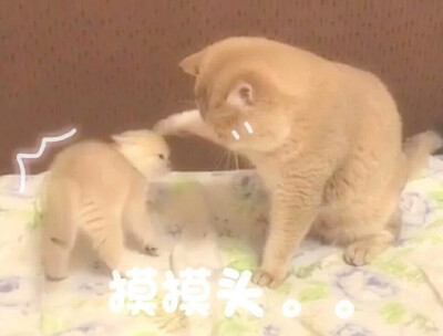 图片来自网络，侵删