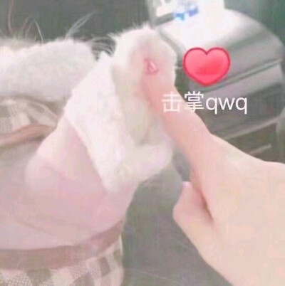 图片来自网络，侵删