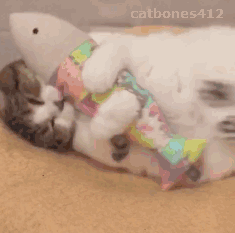 图片来自网络，侵删