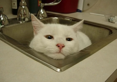 图片来自网络，侵删