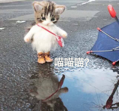 图片来自网络，侵删