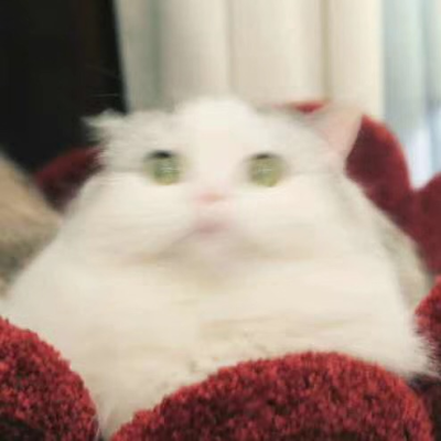 图片来自网络，侵删
