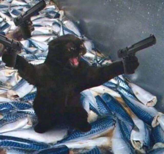 搞怪情头
别开枪！
拿图请赞专辑