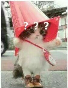 图片来自网络，侵删