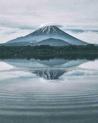 富士山下 ​​​​