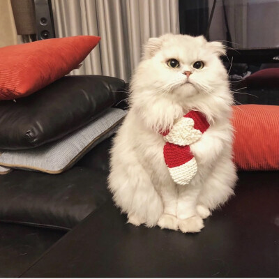 如果我可以少爱你一点 是不是就不会这么深夜不能眠了 可是生活还是要继续啊