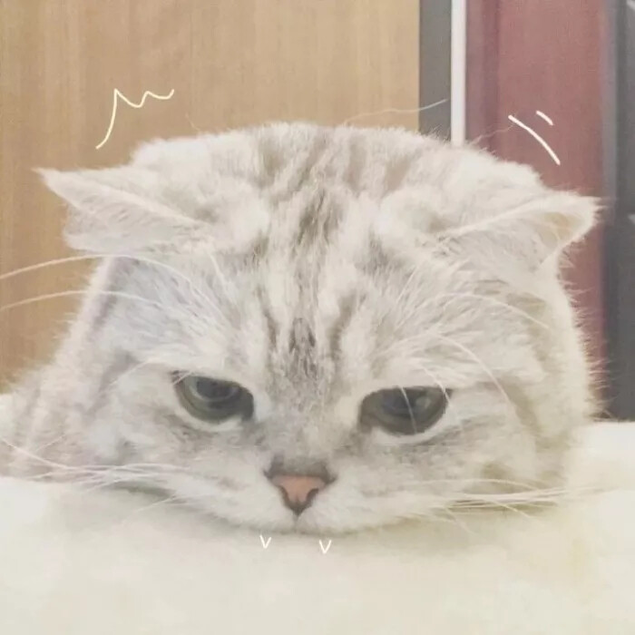 情头，闺蜜头