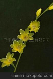 丝网花