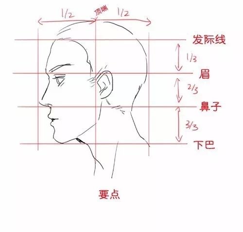 侧脸画法